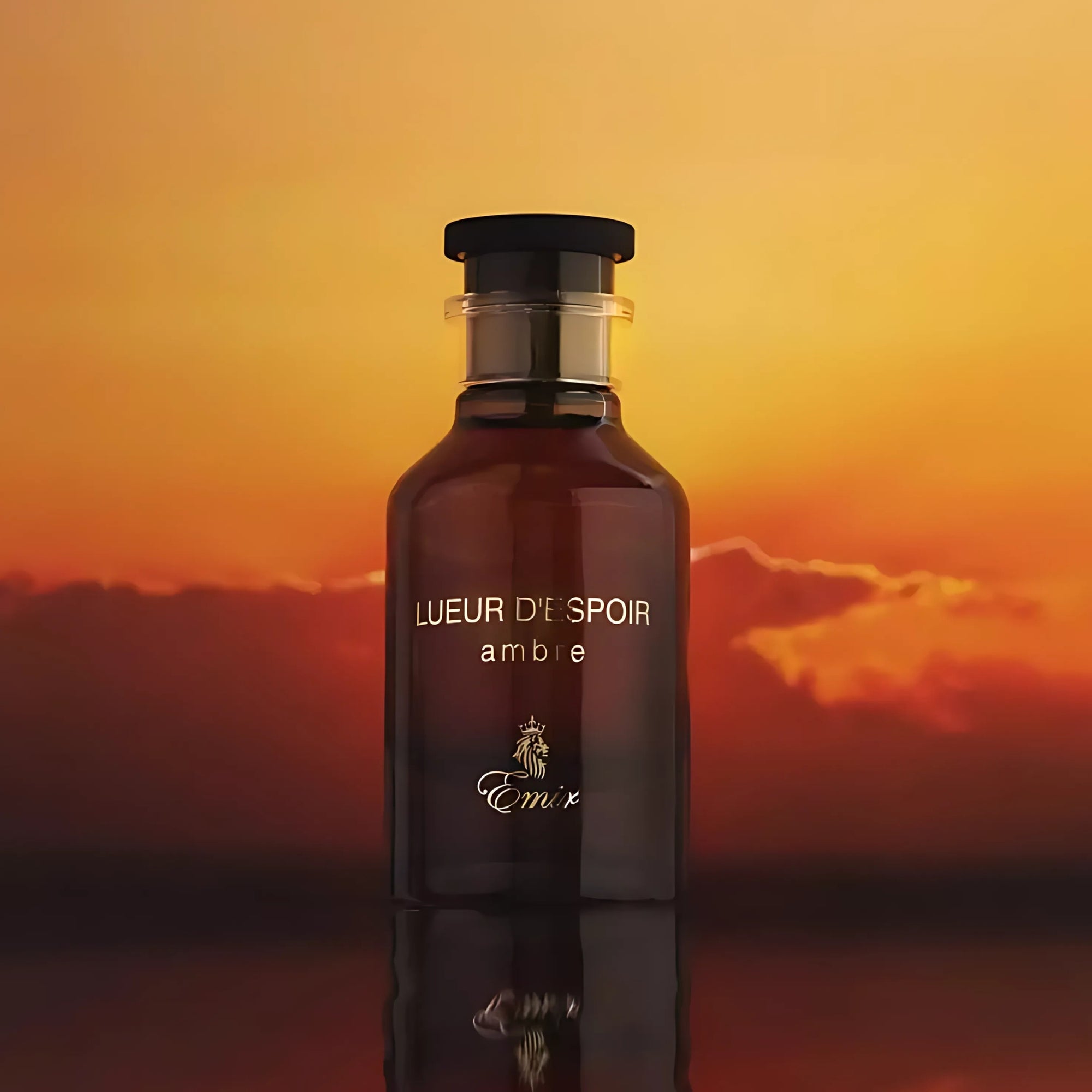 Emir Lueur dEspoir Ambre 100ml EDP by Paris Corner