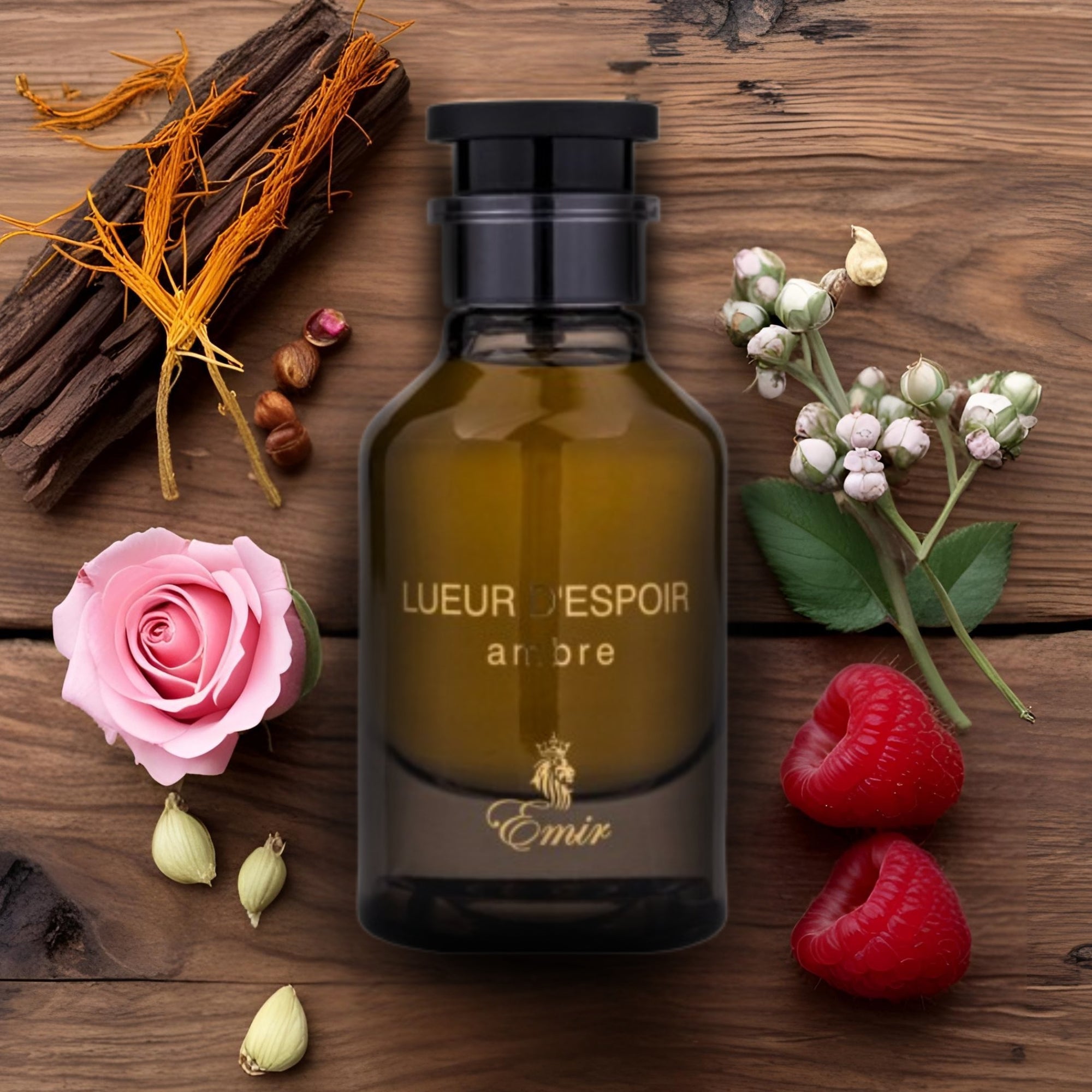 Emir Lueur dEspoir Ambre 100ml EDP by Paris Corner