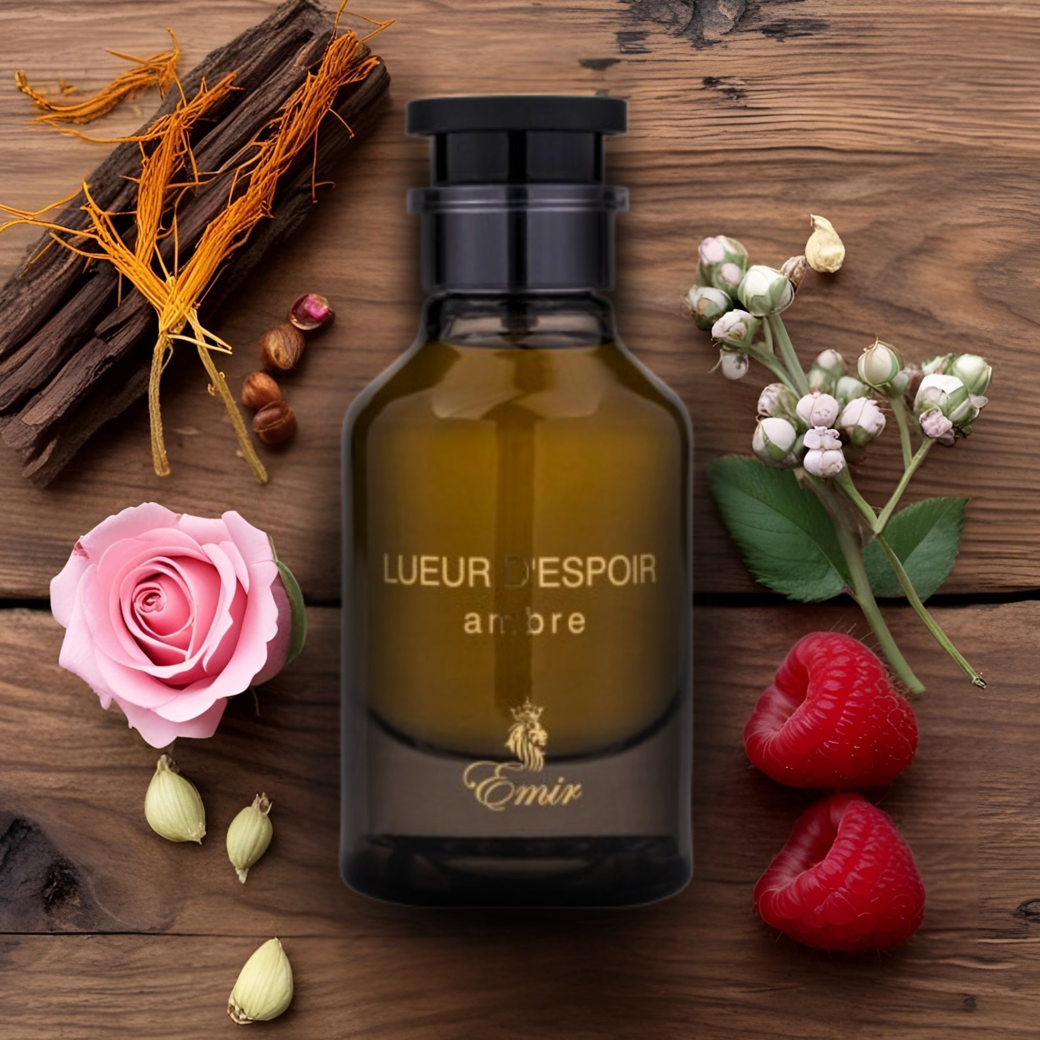 Emir Lueur dEspoir Ambre 100ml EDP by Paris Corner