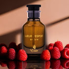 Emir Lueur dEspoir Ambre 100ml EDP by Paris Corner