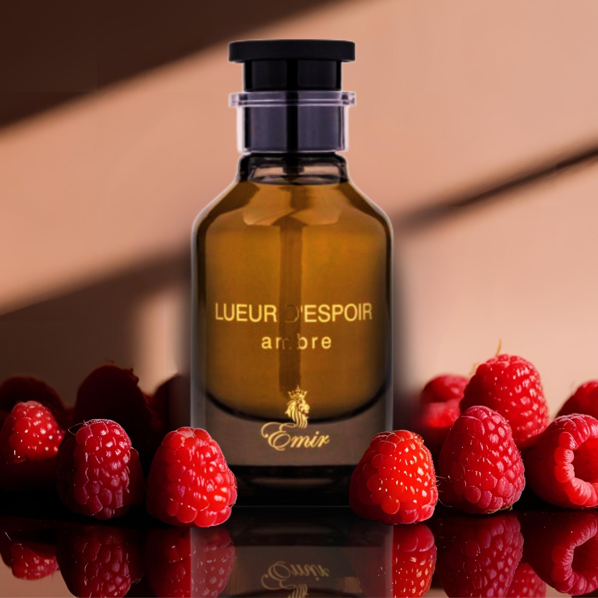 Emir Lueur dEspoir Ambre 100ml EDP by Paris Corner