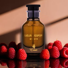 Emir Lueur dEspoir Ambre 100ml EDP by Paris Corner