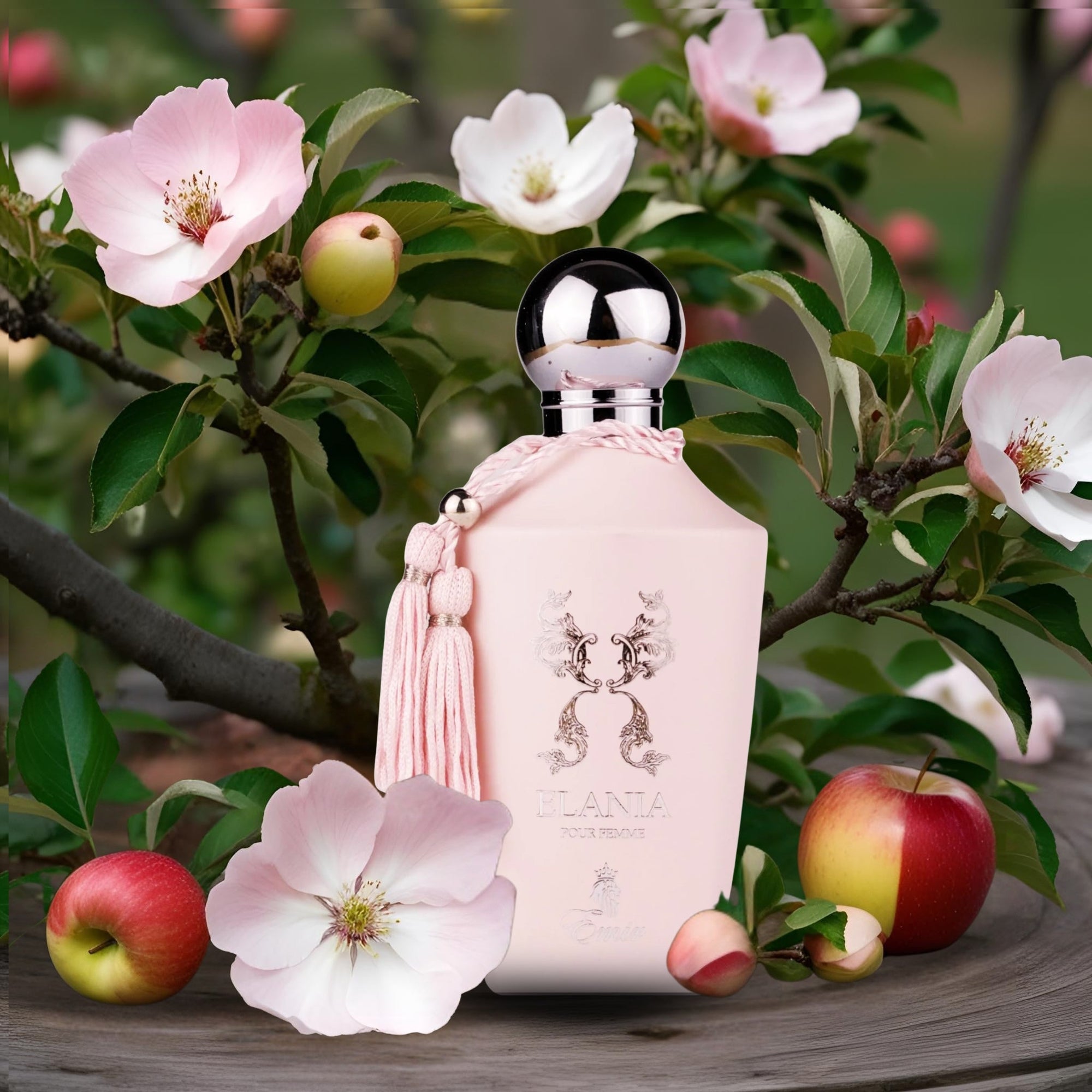 Emir Elania Eau de Parfum 100ml Apple