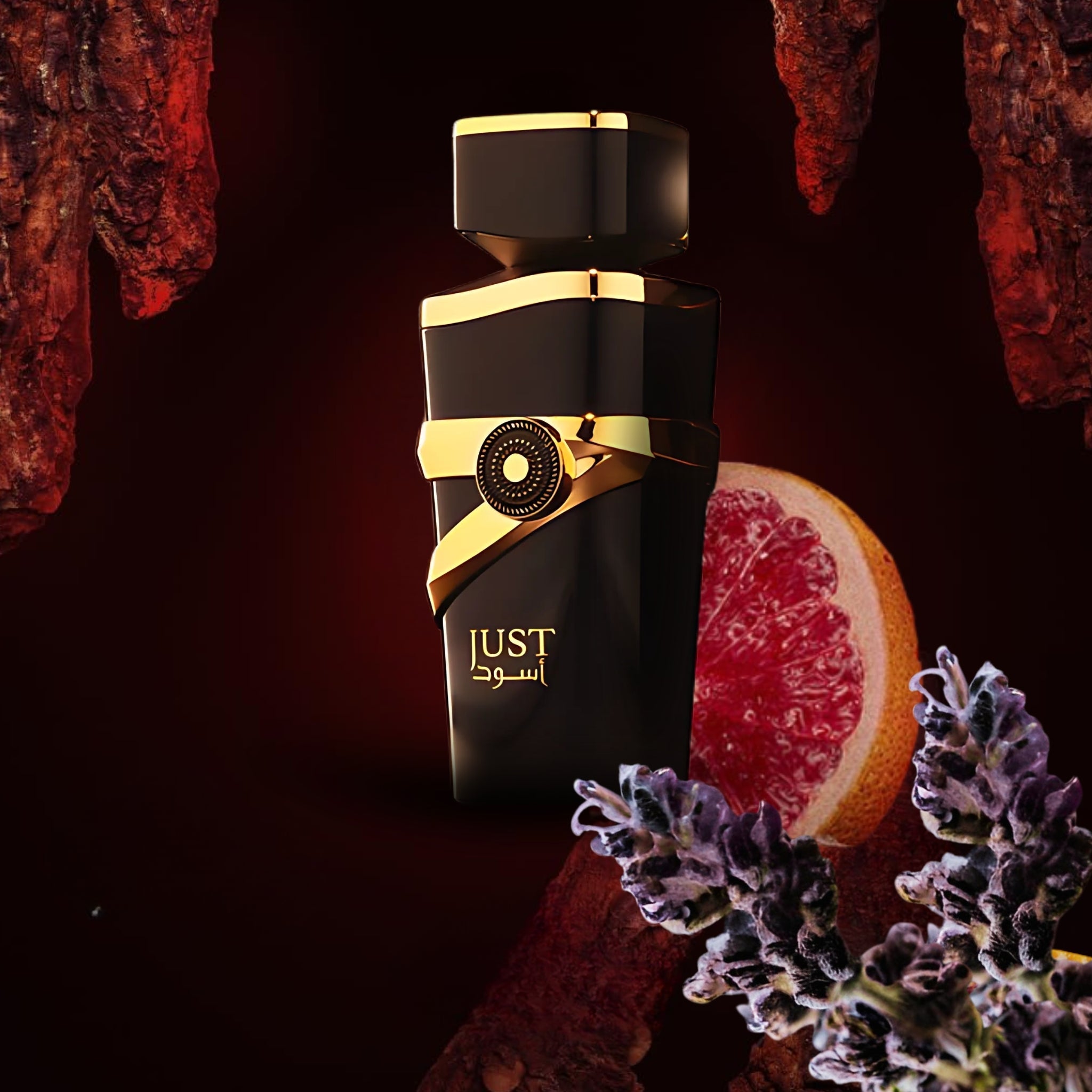 Just Aswad by Fragrance World Smoke