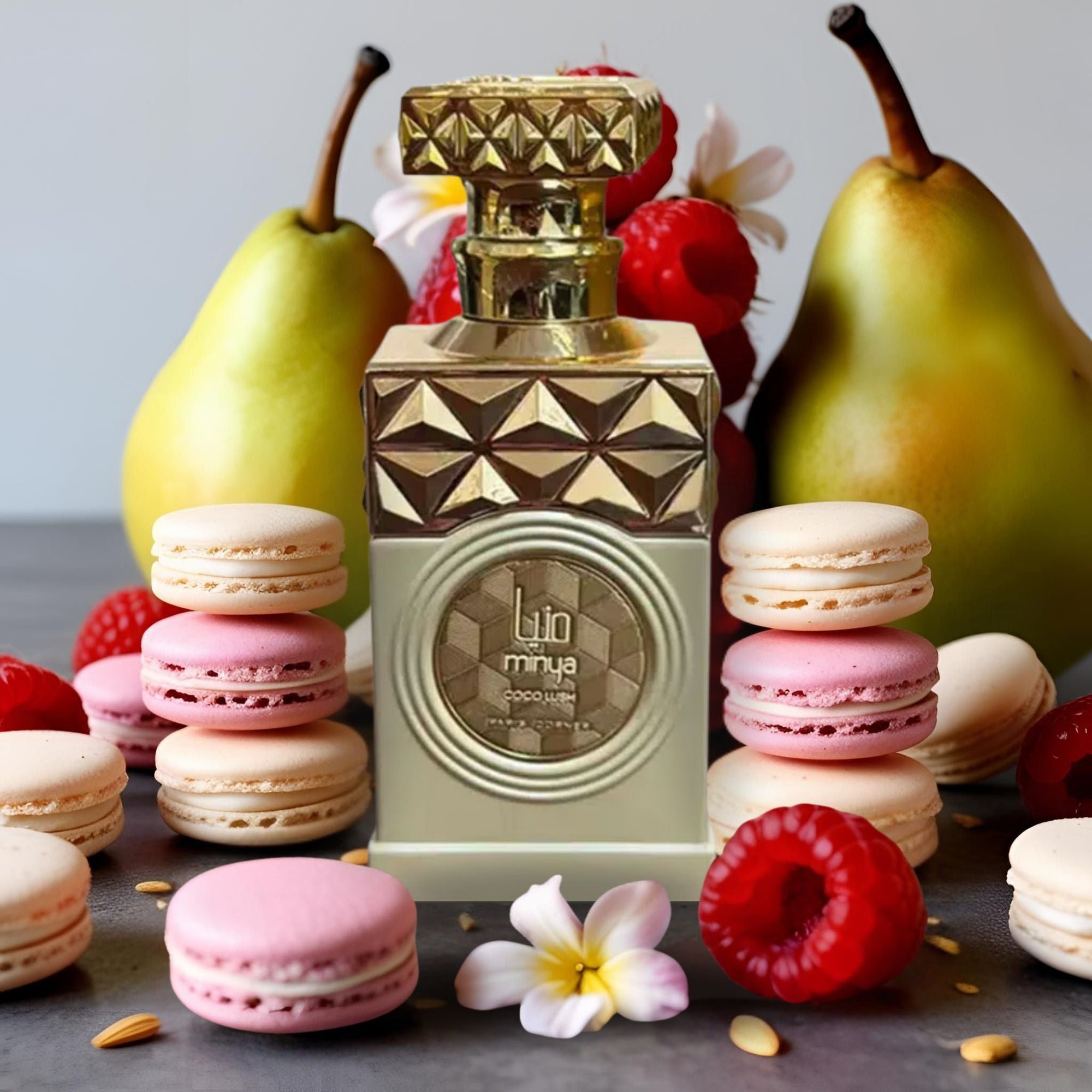 Minya Coco Lush by Paris Corner Fresia
