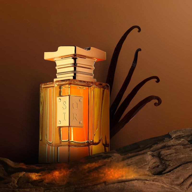 Soir by Fragrance World EDP 100ml Night