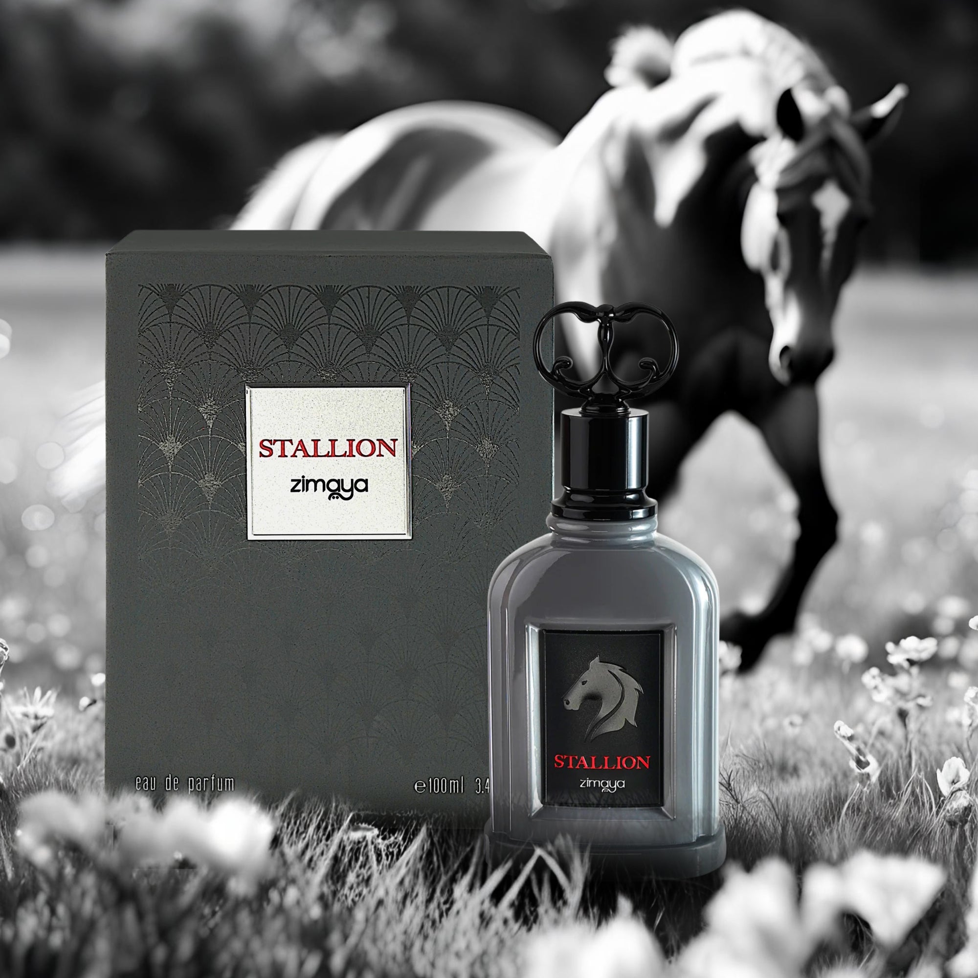 Stallion EDP 100ml by Zimaya