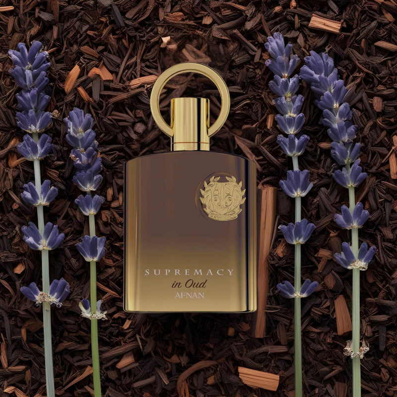 Supremacy In Oud Men by Afnan EDP 100ml Oud